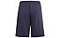 adidas Essentials Big Logo Cotton Jr - pantaloni fitness - ragazzo, Blue