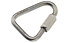 C.A.M.P. Delta Quick Link Stainless - accessorio arrampicata, Silver / 8 mm