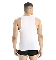 Icebreaker Merino Anatomica - maglietta tecnica senza maniche - uomo, White
