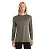 Icebreaker Merino 260 Tech - Funktionsshirt - Herren, Green