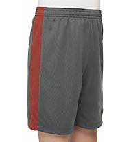 Nike Dri-FIT Academy 23 - pantaloncini calcio - ragazzo, Grey/Dark Red