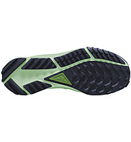 Nike React Pegasus Trail 4 W - Trailrunningschuhe - Damen, Blue/Green