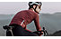 Q36.5 Pinstripe X - maglia ciclismo maniche lunghe - uomo, Red