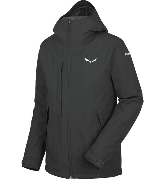 Salewa fanes 2 gtx 2l m jkt hot sale