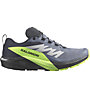 Salomon Sense Ride 5 GTX - Trailrunning-Schuh - Herren, Grey/Green