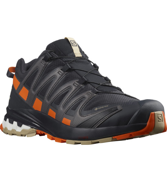 Salomon XA Pro 3D v8 GTX scarpe trailrunning uomo
