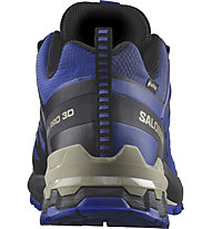 Salomon XA PRO 3D V9 GTX - Trailrunning Schuhe - Herren, Blue/Black