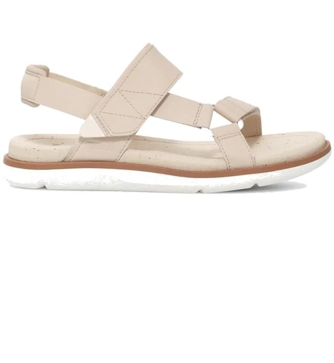 Sportler - -61 Sale